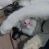 miumiumiuuwwww