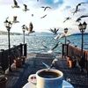 hassiba299