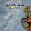 user5106009092069
