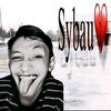 widydvni