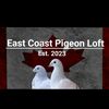 eastcoastpigeonloft
