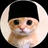 kucing.kampung.kw