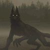raduga_wolf