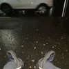 fuckknows23