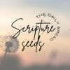 scriptureseeds6
