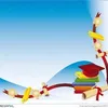 yasir03372