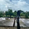 darencapili5