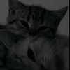 love_jm23