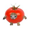 luna_tydym