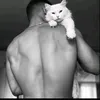 rrgv66