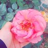 l_ojai_n