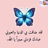 marwa.elshemy1