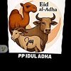 pandu.nova