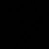 xxy__sall