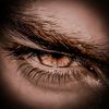 abdul.hadi.780