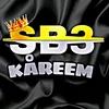 sb3kareem