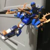 blueanddragon1