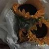 khanhlinhxinhgaivai2