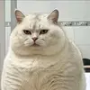 itagdiokak