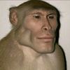nicoahmad63