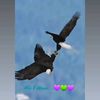 user913324538490