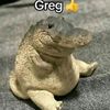greg124036