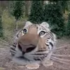 __.tthwvwan