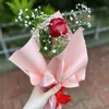 elaphe_husseiny