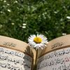 alyaa_bakry718