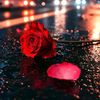 md.rakib20404