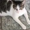 nilce.oliveira04