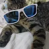 mopita02