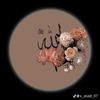 user9612405270636