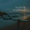 habibabhatti13