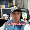 dlg_sinreenes