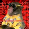 cool_monkey19