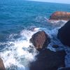 sofian.saidani