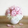 fatema.sy88