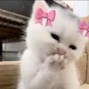 helloitssssmeeeee