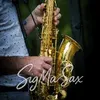 sigma_sax