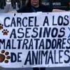 la.gata373