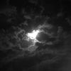 REVENS_2