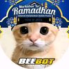 beebot_cdid