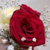 user8653019012681