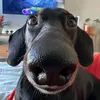 mybumbaclat