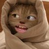ntsa_shlaa