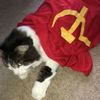 communistcat28j