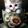 adeyantigmail.com