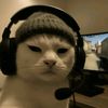lolylalol