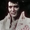 elvisfvr